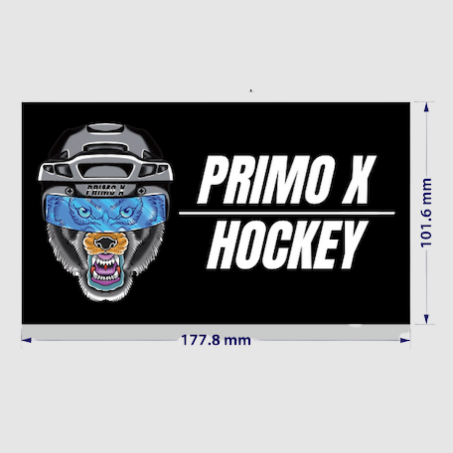  Hockey Goalie Stickers - 2 Pack of 3 Stickers